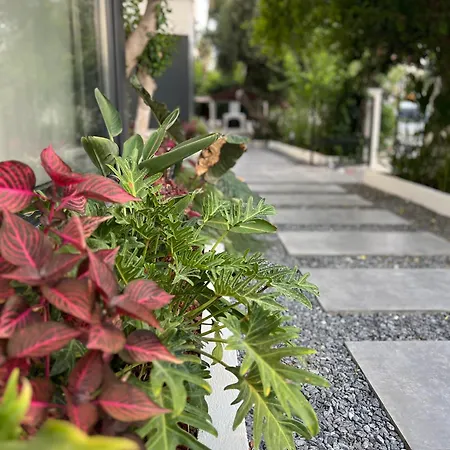 Leos Apart1 Apartamento